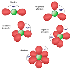 Poláris molekulák